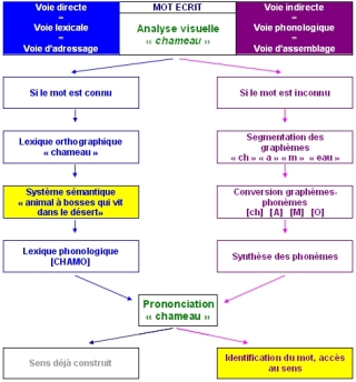 Voir et/ou télécharger en PDF